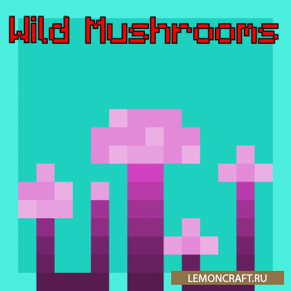 Мод на грибы с эффектами Wild Mushrooms [1.16.4] [1.15.2]